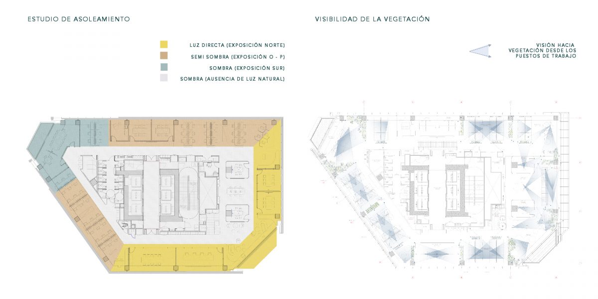 PLANTAS PROYECTO OFICINAS ENEL